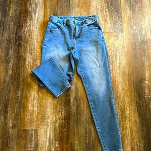 American Eagle Curvy Hi-Rise Jegging